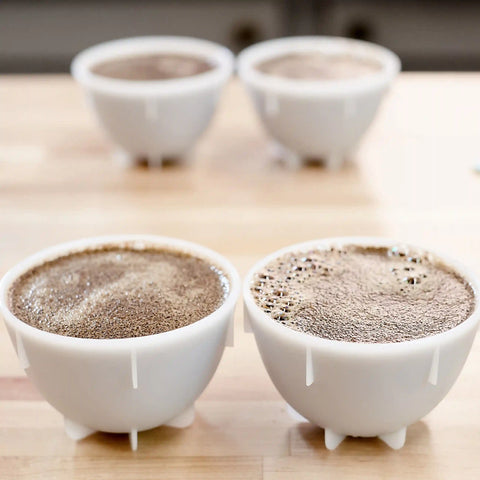 Barista Hustle Cupping Bowls - 24 Pack
